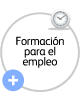 FORMACION PARA EL EMPLEO